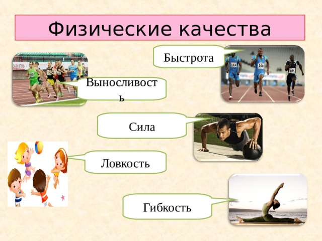 Физические качества Быстрота Выносливость Сила Ловкость Гибкость 