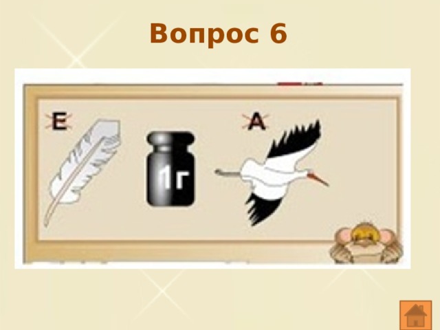 Вопрос 6 