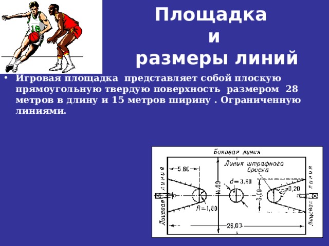 Площадка  и  размеры линий Игровая площадка представляет собой плоскую прямоугольную твердую поверхность размером 28 метров в длину и 15 метров ширину . Ограниченную линиями. 