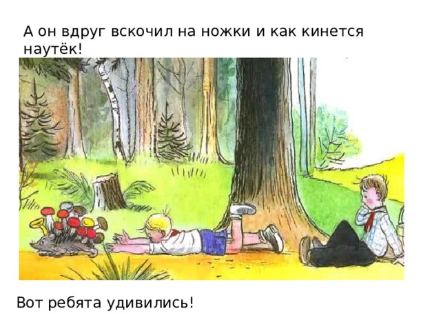 А он вдруг вскочил на ножки и как кинется наутёк! Вот ребята удивились! 