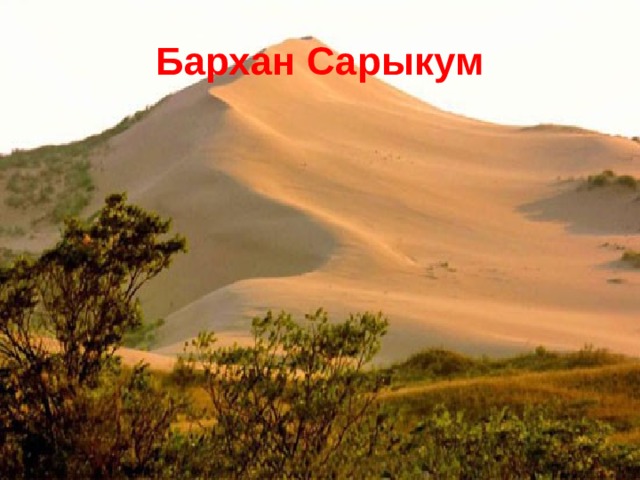 Бархан Сарыкум 