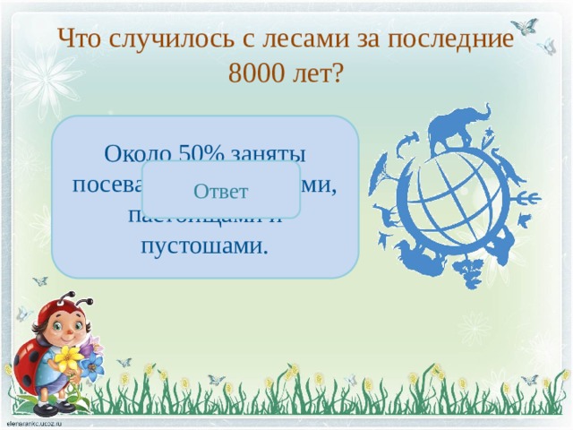 Что случилось с лесами за последние 8000 лет? Около 50% заняты посевами, поселениями, пастбищами и пустошами. Ответ 
