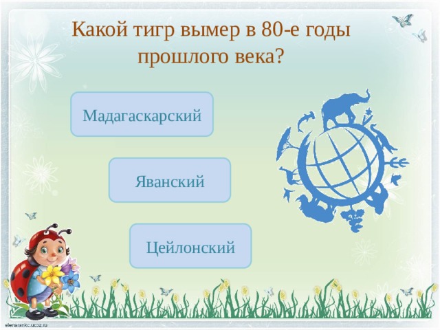 Какой тигр вымер в 80-е годы прошлого века? Мадагаскарский Яванский Цейлонский 