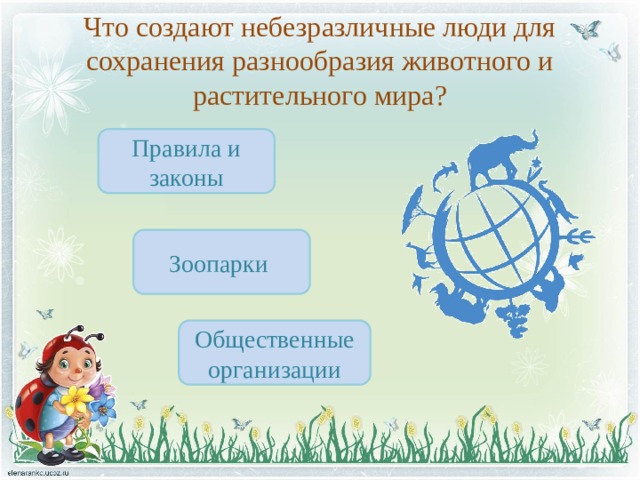 Что создают небезразличные люди для сохранения разнообразия животного и растительного мира? Правила и законы Зоопарки Общественные организации 