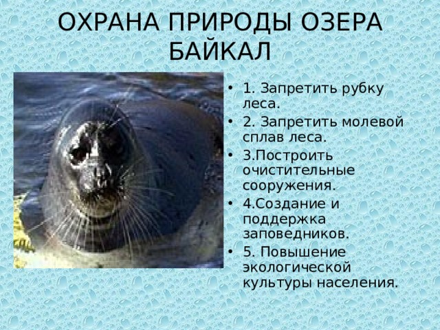 ОХРАНА ПРИРОДЫ ОЗЕРА БАЙКАЛ   1. Запретить рубку леса. 2. Запретить молевой сплав леса. 3.Построить очистительные сооружения. 4.Создание и поддержка заповедников. 5. Повышение экологической культуры населения.  