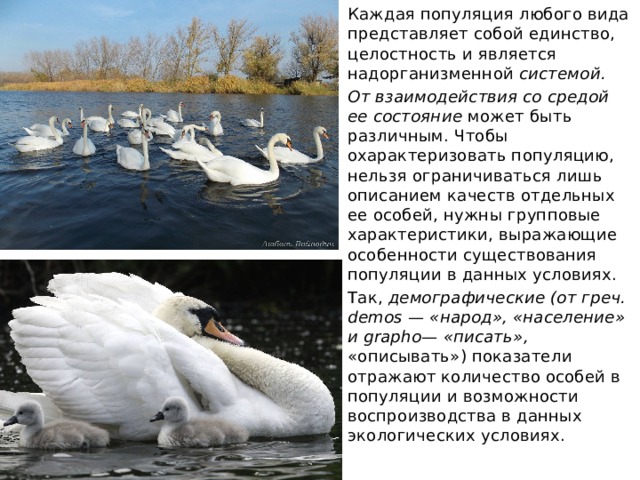 Каждая популяция любого вида представляет собой единство, целостность и является надорганизменной системой. От взаимодействия со средой ее состояние может быть различным. Чтобы охарактеризовать популяцию, нельзя ограничиваться лишь описанием качеств отдельных ее особей, нужны групповые характеристики, выражающие особенности существования популяции в данных условиях. Так, демографические (от греч. demos — «народ», «население» и grapho— «писать», «описывать») показатели отражают количество особей в популяции и возможности воспроизводства в данных экологических условиях. 