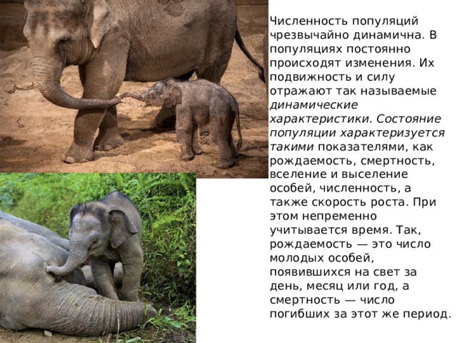 Численность популяций чрезвычайно динамична. В популяциях постоянно происходят изменения. Их подвижность и силу отражают так называемые динамические характеристики. Состояние популяции характеризуется такими показателями, как рождаемость, смертность, вселение и выселение особей, численность, а также скорость роста. При этом непременно учитывается время. Так, рождаемость — это число молодых особей, появившихся на свет за день, месяц или год, а смертность — число погибших за этот же период. 