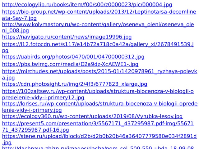 http://ecologylib.ru/books/item/f00/s00/z0000023/pic/000004.jpg https://bio-group.net/wp-content/uploads/2013/12/Leptinotarsa-decemlineata-Say-7.jpg http://www.kolymastory.ru/wp-content/gallery/oseneva_oleni/oseneva_oleni_008.jpg https://navigato.ru/content/news/image19996.jpg https://i12.fotocdn.net/s117/e14b72a718c0a42a/gallery_xl/2678491539.jpg https://uabirds.org/photos/0470/001/04700000312.jpg https://pbs.twimg.com/media/D2a9dz-XcAEWE1-.jpg https://mirchudes.net/uploads/posts/2015-01/1420978961_ryzhaya-polevka.jpg https://cdn.photosight.ru/img/2/4f3/6777823_xlarge.jpg https://100zaitsev.ru/wp-content/uploads/struktura-biocenoza-v-biologii-opredelenie-vidy-i-primery12.jpg https://lorises.ru/wp-content/uploads/struktura-biocenoza-v-biologii-opredelenie-vidy-i-primery.jpg https://ecology360.ru/wp-content/uploads/2019/08/Vyrubka-lesov.jpg https://present5.com/presentation/3/5567171_437295987.pdf-img/5567171_437295987.pdf-16.jpg https://stene.ru/upload/iblock/d2b/d2b0b20b46a36407779580e034f2891d.jpg http://dachnaya-zhizn.ru/images/dacha/pom_sol_500-550_ubda_18-09-08_jh.jpeg https://content.foto.my.mail.ru/mail/parqezan/32039/h-32166.jpg https://childhood-land.ru/assets/upload/content/img/biology/flora/trees/osina-obiknovennaya_7_large.jpg https://s3-eu-west-1.amazonaws.com/uploads.playbaamboozle.com/uploads/images/139466/1607491987_328482 
