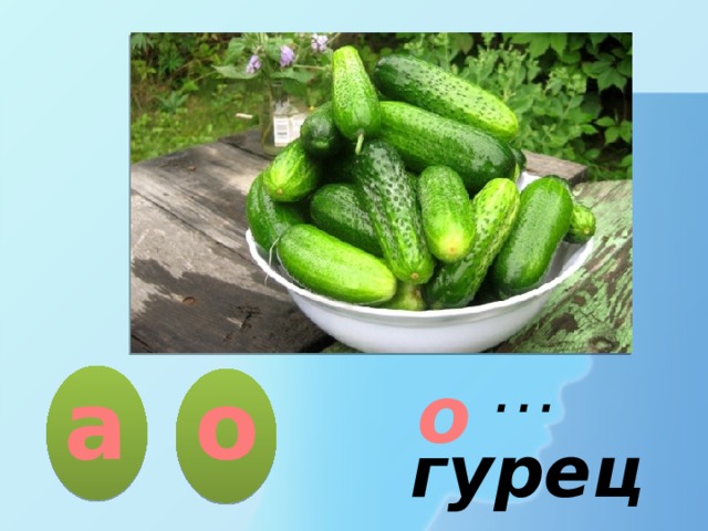 о о а … гурец  