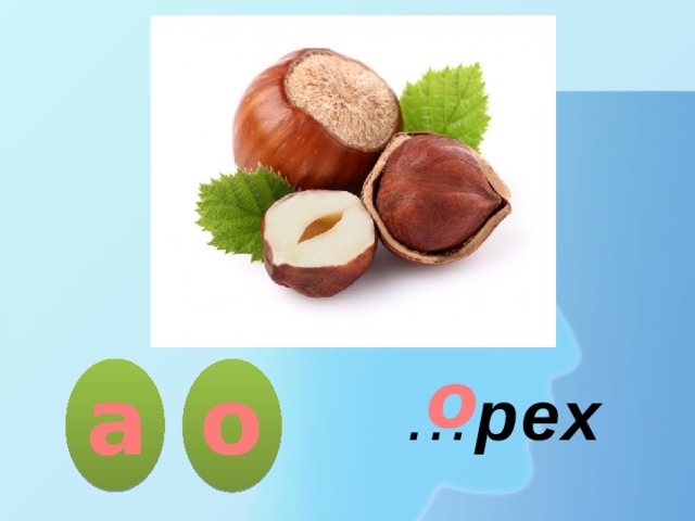 о а о … рех  