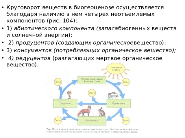 Круговорот веществ в биогеоценозе осуществляется благодаря наличию в нем четырех неотъемлемых компонентов (рис. 104): 1) абиотического компонента (запаса биогенных веществ и солнечной энергии);  2) продуцентов (создающих органическое вещество); 3) консументов (потребляющих органическое вещество);  4) редуцентов (разлагающих мертвое органическое вещество). 