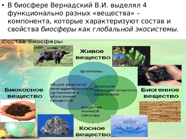 В биосфере Вернадский В.И. выделял 4 функционально разных «вещества» – компонента, которые характеризуют состав и свойства биосферы как глобальной экосистемы. 