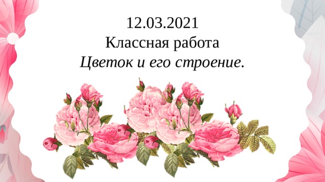 12.03.2021 Классная работа Цветок и его строение. 