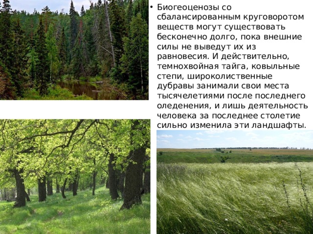 Биогеоценозы со сбалансированным круговоротом веществ могут существовать бесконечно долго, пока внешние силы не выведут их из равновесия. И действительно, темнохвойная тайга, ковыльные степи, широколиственные дубравы занимали свои места тысячелетиями после последнего оледенения, и лишь деятельность человека за последнее столетие сильно изменила эти ландшафты. 