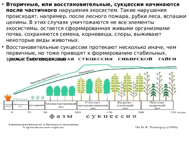 Вторичные, или восстановительные, сукцессии начинаются после частичного нарушения экосистем. Такие нарушения происходят, например, после лесного пожара, рубки леса, вспашки целины. В этих случаях уничтожаются не все элементы экосистемы, остается сформированная живыми организмами почва, сохраняются семена, корневища, споры, выживают некоторые виды животных. Восстановительные сукцессии протекают несколько иначе, чем первичные, но тоже приводят к формированию стабильных, зрелых биогеоценозов 
