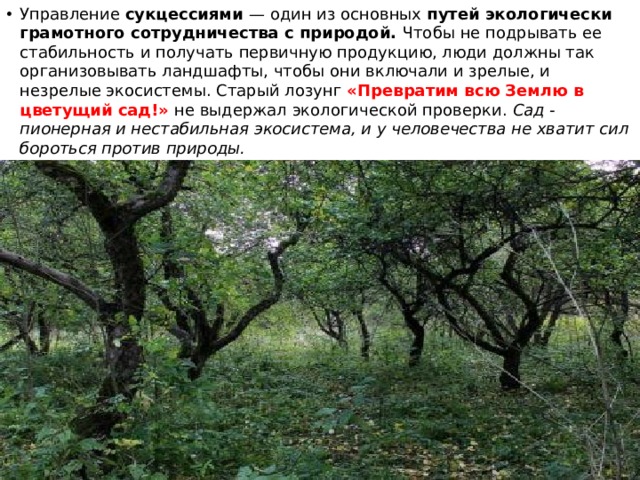 Управление сукцессиями — один из основных путей экологически грамотного сотрудничества с природой. Чтобы не подрывать ее стабильность и получать первичную продукцию, люди должны так организовывать ландшафты, чтобы они включали и зрелые, и незрелые экосистемы. Старый лозунг «Превратим всю Землю в цветущий сад!» не выдержал экологической проверки. Сад - пионерная и нестабильная экосистема, и у человечества не хватит сил бороться против природы. 