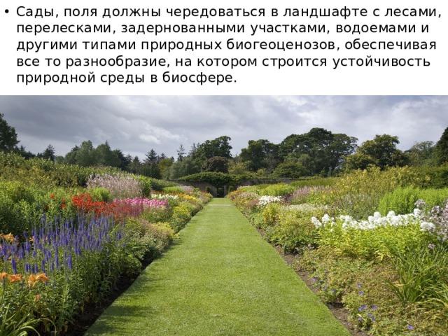 Сады, поля должны чередоваться в ландшафте с лесами, перелесками, задернованными участками, водоемами и другими типами природных биогеоценозов, обеспечивая все то разнообразие, на котором строится устойчивость природной среды в биосфере. 
