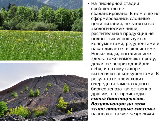 На пионерной стадии сообщество не сбалансировано. В нем еще не сформировались сложные цепи питания, не заняты все экологические ниши, растительная продукция не полностью используется консументами, редуцентами и накапливается в экосистеме. Новые виды, поселившиеся здесь, тоже изменяют среду, делая ее непригодной для себя, и потому вскоре вытесняются конкурентами. В результате происходит очередная замена одного биогеоценоза качественно другим, т. е. происходит смена биогеоценозов. Возникающие на этом этапе пионерные системы называют также незрелыми. 
