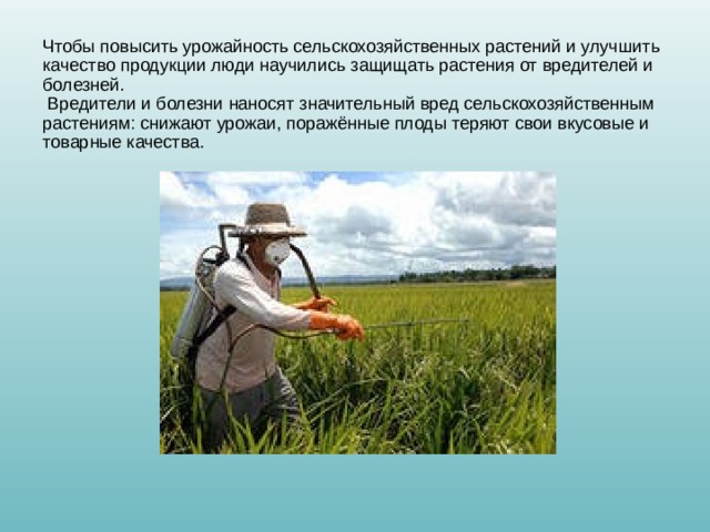 Чтобы повысить урожайность сельскохозяйственных растений и улучшить качество продукции люди научились защищать растения от вредителей и болезней.  Вредители и болезни наносят значительный вред сельскохозяйственным растениям: снижают урожаи, поражённые плоды теряют свои вкусовые и товарные качества.   