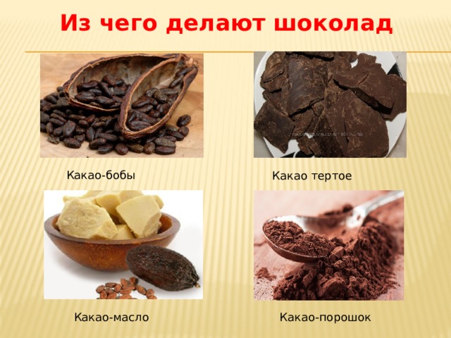 Из чего делают шоколад Какао-бобы Какао тертое Какао-масло Какао-порошок 