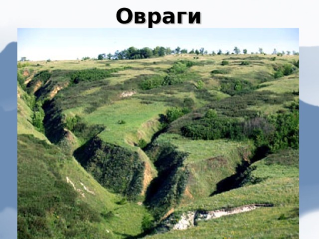 Овраги 