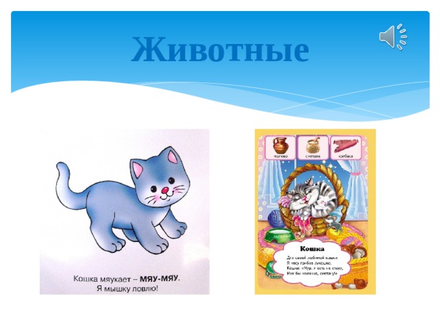 Животные 