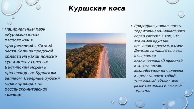 Куршская коса Природная уникальность территории национального парка состоит в том, что это самая крупная песчаная пересыпь в мире. Дюнные ландшафты косы отличаются исключительной красотой и эстетическим воздействием на человека и представляют собой уникальный объект для развития экологического туризма.  Национальный парк «Куршская коса» расположен в приграничной с Литвой части Калининградской области на узкой полоске суши между соленым Балтийским морем и пресноводным Куршским заливом. Северные рубежи парка проходят по российско-литовской границе. 