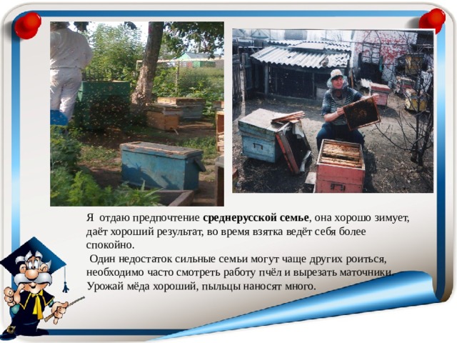 Я отдаю предпочтение среднерусской семье , она хорошо зимует, даёт хороший результат, во время взятка ведёт себя более спокойно.  Один недостаток сильные семьи могут чаще других роиться, необходимо часто смотреть работу пчёл и вырезать маточники. Урожай мёда хороший, пыльцы наносят много. 