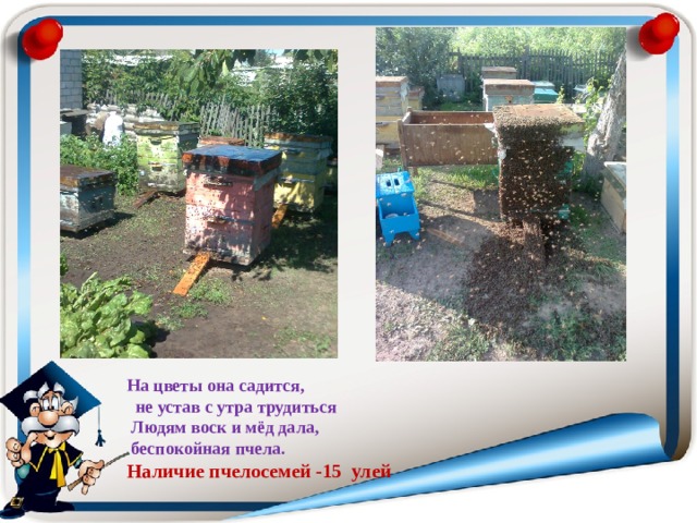 На цветы она садится,  не устав с утра трудиться  Людям воск и мёд дала,  беспокойная пчела.  Наличие пчелосемей -15 улей 