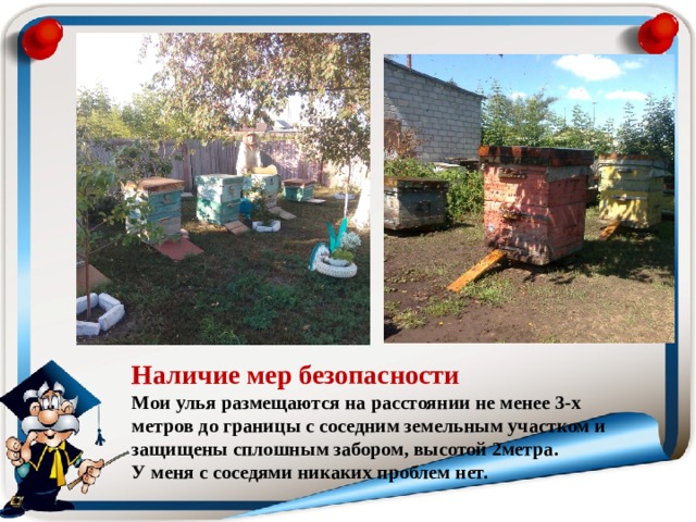 Наличие мер безопасности  Мои улья размещаются на расстоянии не менее 3-х метров до границы с соседним земельным участком и защищены сплошным забором, высотой 2метра.  У меня с соседями никаких проблем нет. 
