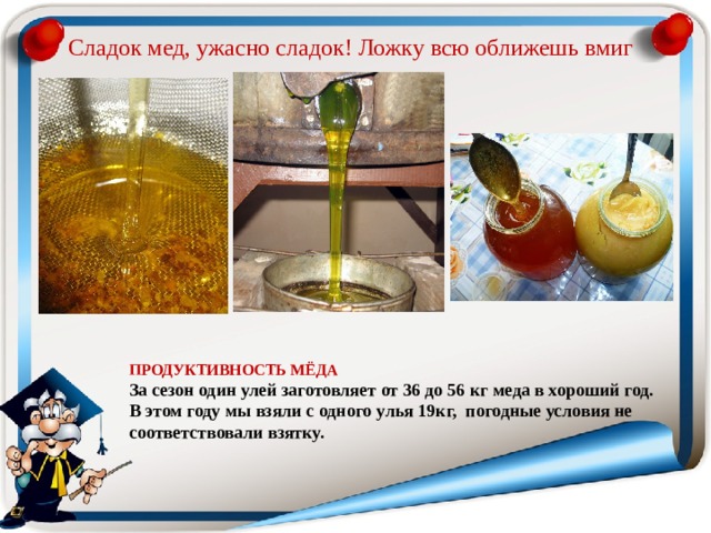 Сладок мед, ужасно сладок! Ложку всю оближешь вмиг ПРОДУКТИВНОСТЬ МЁДА   За сезон один улей заготовляет от 36 до 56 кг меда в хороший год.  В этом году мы взяли с одного улья 19кг, погодные условия не соответствовали взятку. 