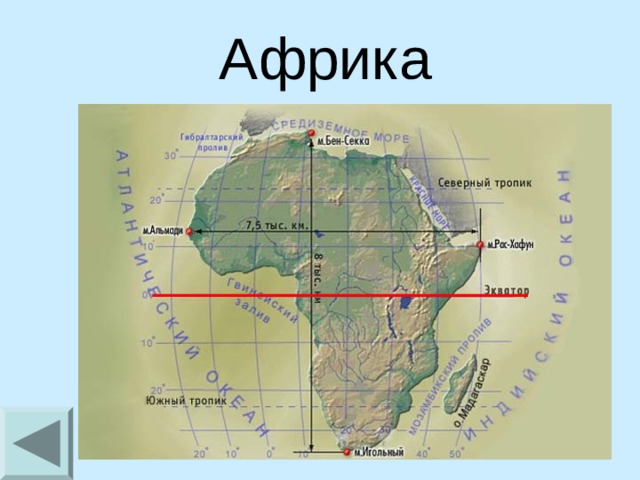 Африка 