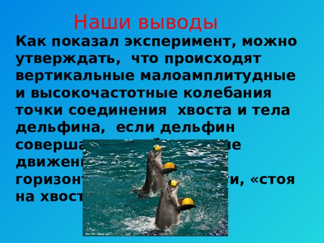 Наши выводы  Как показал эксперимент, можно утверждать, что происходят вертикальные малоамплитудные и высокочастотные колебания точки соединения хвоста и тела дельфина, если дельфин совершает колебательные движения хвостом в горизонтальной плоскости, «стоя на хвосте».  