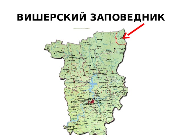 ВИШЕРСКИЙ ЗАПОВЕДНИК 