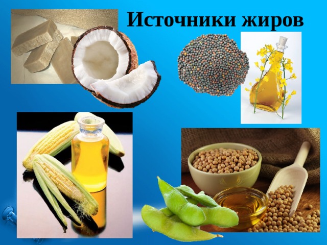 Источники жиров 