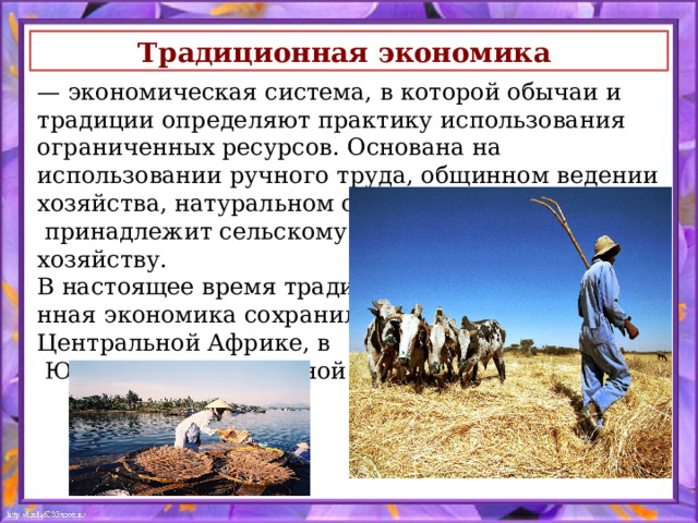 Традиционная экономика  — экономическая система, в которой обычаи и традиции определяют практику использования ограниченных ресурсов. Основана на использовании ручного труда, общинном ведении хозяйства, натуральном обмене. Ведущая отрасль принадлежит сельскому хозяйству. В настоящее время традицио- нная экономика сохранилась в Центральной Африке, в  Южно и Юго-Восточной Азии 