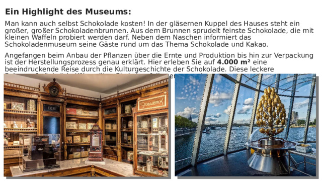Ein Highlight des Museums: Man kann auch selbst Schokolade kosten! In der gläsernen Kuppel des Hauses steht ein großer, großer Schokoladenbrunnen. Aus dem Brunnen sprudelt feinste Schokolade, die mit kleinen Waffeln probiert werden darf. Neben dem Naschen informiert das Schokoladenmuseum seine Gäste rund um das Thema Schokolade und Kakao. Angefangen beim Anbau der Pflanzen über die Ernte und Produktion bis hin zur Verpackung ist der Herstellungsprozess genau erklärt. Hier erleben Sie auf 4.000 m² eine beeindruckende Reise durch die Kulturgeschichte der Schokolade. Diese leckere Sehenswürdigkeit in Köln sollten Sie keinesfalls verpassen! 
