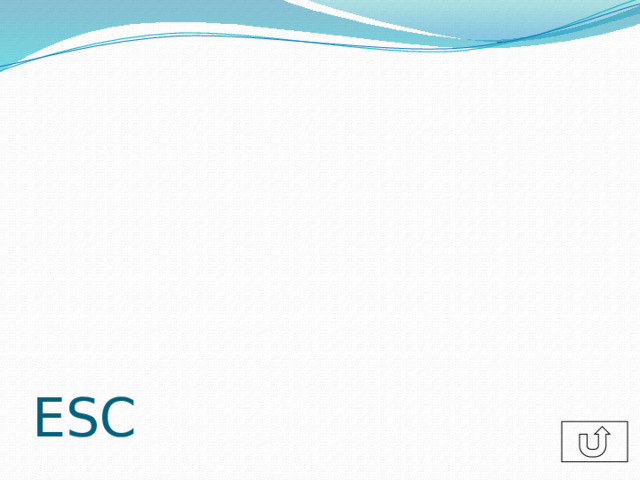 ESC 