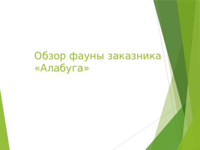 Обзор фауны заказника «Алабуга» 