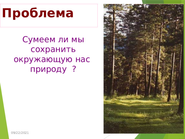Проблема Сумеем ли мы  сохранить окружающую нас природу ? 