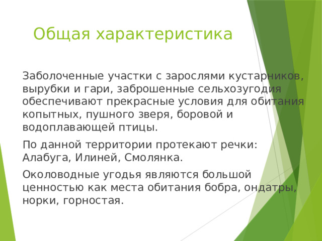 Общая характеристика Заболоченные участки с зарослями кустарников, вырубки и гари, заброшенные сельхозугодия обеспечивают прекрасные условия для обитания копытных, пушного зверя, боровой и водоплавающей птицы. По данной территории протекают речки: Алабуга, Илиней, Смолянка. Околоводные угодья являются большой ценностью как места обитания бобра, ондатры, норки, горностая. 