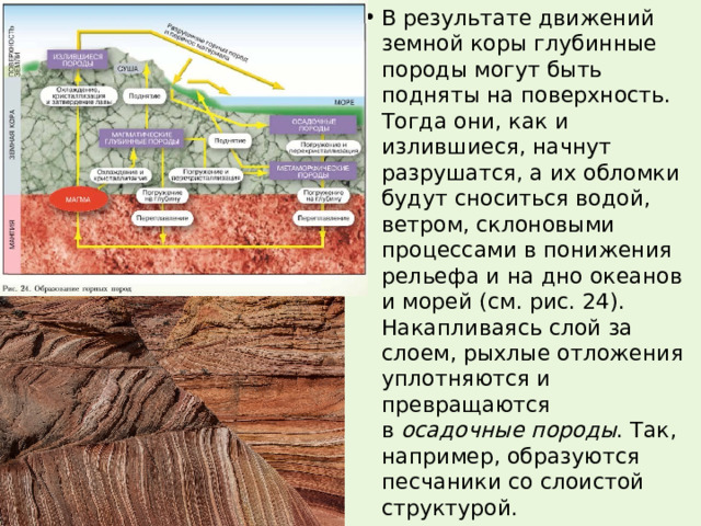 В результате движений земной коры глубинные породы могут быть подняты на поверхность. Тогда они, как и излившиеся, начнут разрушатся, а их обломки будут сноситься водой, ветром, склоновыми процессами в понижения рельефа и на дно океанов и морей (см. рис. 24). Накапливаясь слой за слоем, рыхлые отложения уплотняются и превращаются в  осадочные породы . Так, например, образуются песчаники со слоистой структурой. 