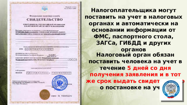 Налогоплательщика могут поставить на учет в налоговых органах и автоматически на основании информации от ФМС, паспортного стола, ЗАГСа, ГИБДД и других органов Налоговый орган обязан поставить человека на учет в течение 5 дней со дня получения заявления и в тот же срок выдать свидетельство о постановке на учет. 