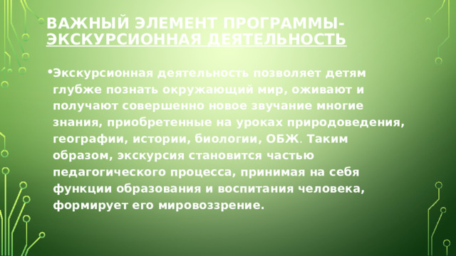 Важный элемент программы- экскурсионная деятельность Экскурсионная деятельность позволяет детям глубже познать окружающий мир,  оживают и получают совершенно новое звучание многие знания, приобретенные на уроках природоведения, географии, истории, биологии, ОБЖ . Таким образом, экскурсия становится частью педагогического процесса, принимая на себя функции образования и воспитания человека, формирует его мировоззрение. 