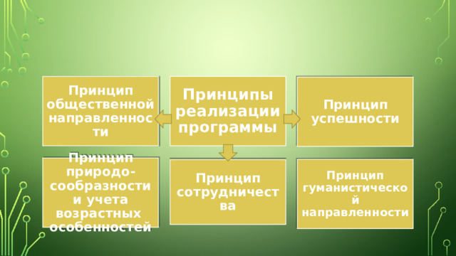 Принцип общественной направленности Принципы реализации программы Принцип успешности Принцип природо- сообразности и учета возрастных особенностей Принцип гуманистической направленности Принцип сотрудничества 
