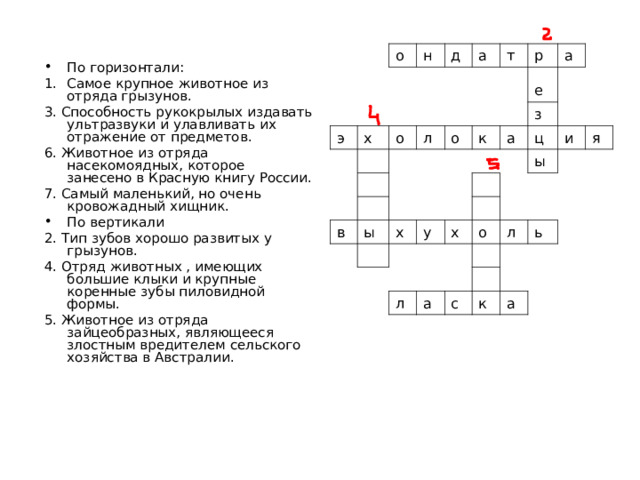 о э н х д о а л т о в р к а е ы х а з у ц ы х и я л о а л с ь к а По горизонтали: Самое крупное животное из отряда грызунов. 3. Способность рукокрылых издавать ультразвуки и улавливать их отражение от предметов. 6. Животное из отряда насекомоядных, которое занесено в Красную книгу России. 7. Самый маленький, но очень кровожадный хищник. По вертикали 2. Тип зубов хорошо развитых у грызунов. 4. Отряд животных , имеющих большие клыки и крупные коренные зубы пиловидной формы. 5. Животное из отряда зайцеобразных, являющееся злостным вредителем сельского хозяйства в Австралии. 