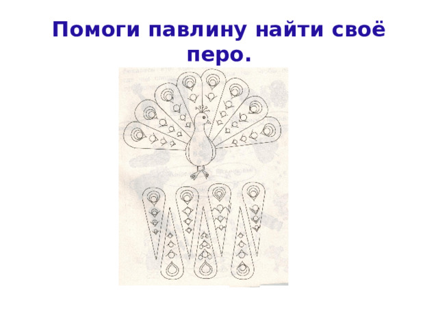 Помоги павлину найти своё перо. 