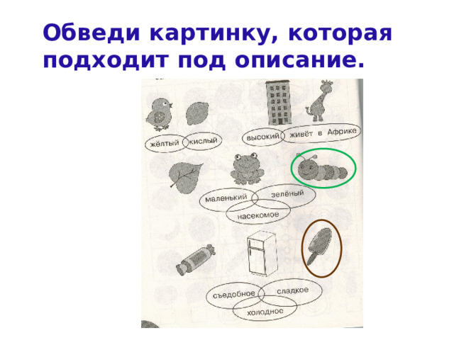 Обведи картинку, которая подходит под описание. 