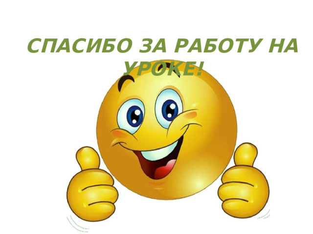 СПАСИБО ЗА РАБОТУ НА УРОКЕ! 