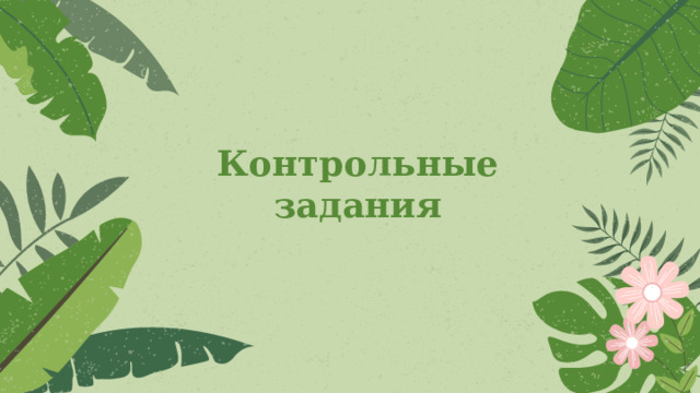Контрольные задания 